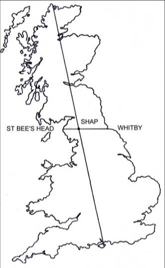 Shap Map